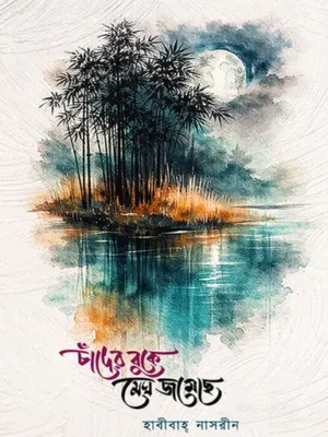 চাঁদের বুকে মেঘ জমেছে